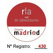 large_red-lab-madrid.jpg
