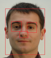 craneo-cara-1.png