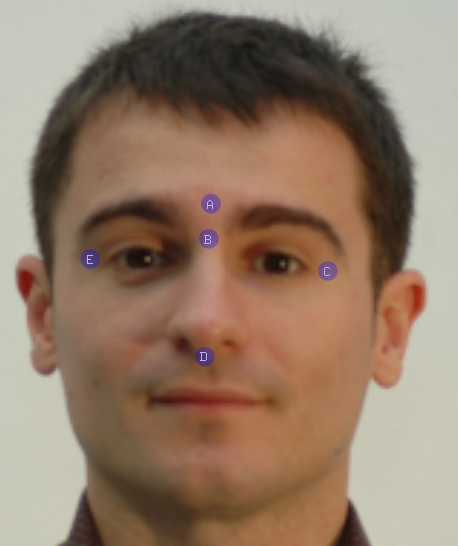 craneo-cara-2.png