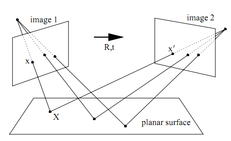 craneo-homoghafia.png